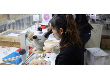 貼片共模電感方向如何區(qū)分你知道嗎？